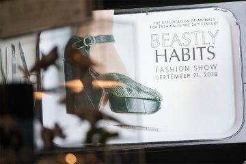 Beastly Habits: Exploring the use of animals in fashion
