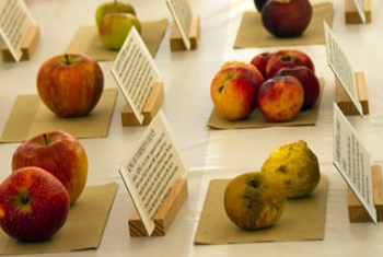 Apple Festival 2018