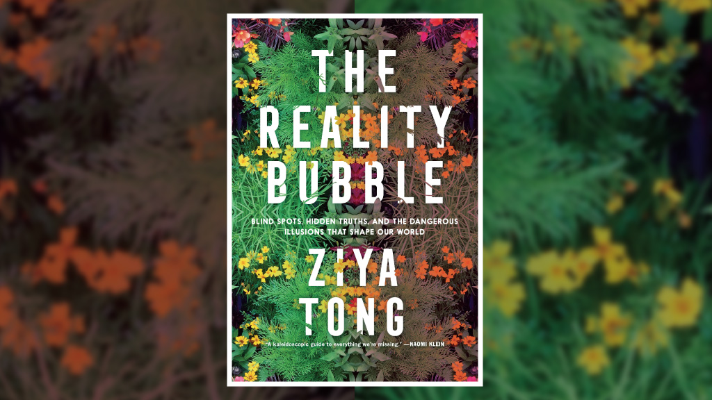 The cover of Ziya Tong's book, The Reality Bubble.
