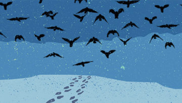 The Birds by Yvette Nolan