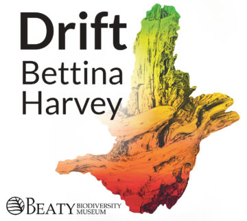 Beaty Nocturnal – Drift: from the forest to the sea
