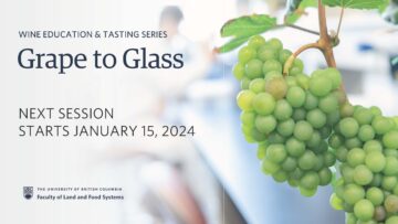 Grapes to Glass: Wine Education and Tasting Series