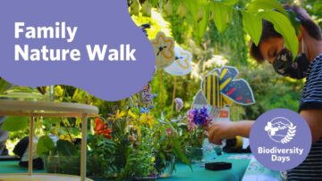 Biodiversity Days 2024: Family Nature Walk at UBC Botanical Garden