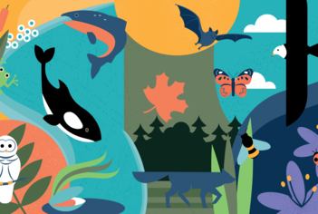 Biodiversity Days
