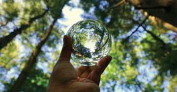 Sustainability and Profitability: What’s Driving Business Success in 2025?